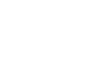 Logo GI